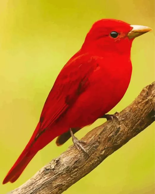 adorable Summer Tanager Diamond Paintings Adorable Summer Tanager Diamond Painting