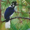 Adorable Tufted Jay Diamond Painting