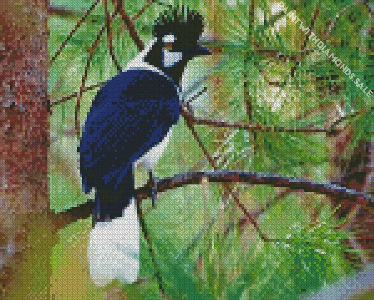 adorable Tufted Jay Diamond By Numbers Adorable Tufted Jay Diamond Painting