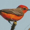 Adorable Vermilion Flycatcher Diamond Painting