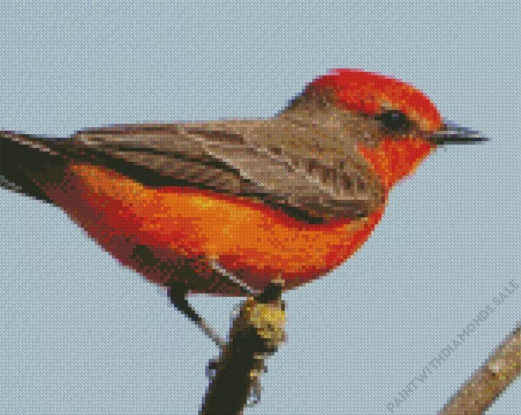 adorable Vermilion Flycatcher Diamond By Numbers Adorable Vermilion Flycatcher Diamond Painting