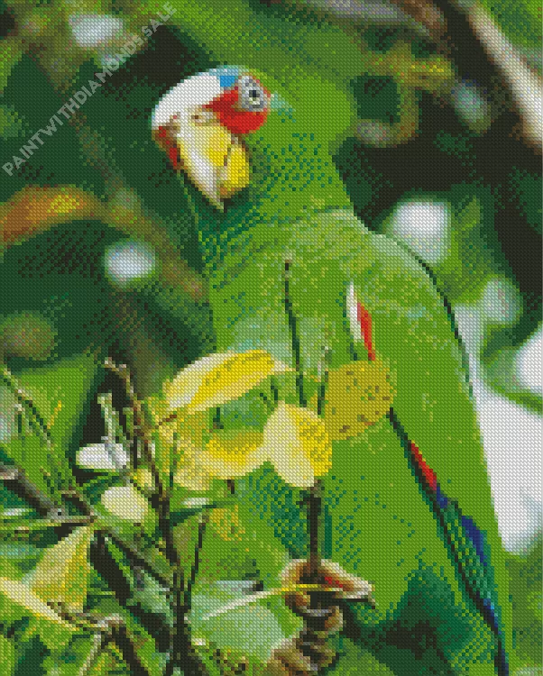 adorable White Fronted Amazon Diamond Dotz Adorable White Fronted Amazon Diamond Painting