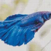Adorable Blue Siamese Fighting Fish Diamond Painting