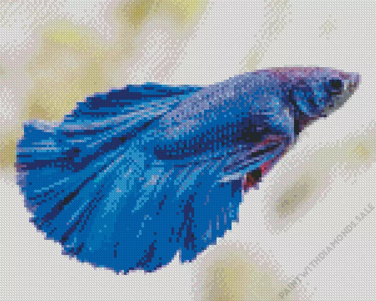 adorable blue Siamese fighting fish Diamond Paintings Adorable Blue Siamese Fighting Fish Diamond Painting