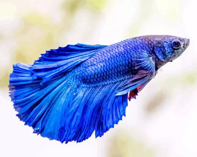 adorable blue Siamese fighting fish Diamond With Numbers Adorable Blue Siamese Fighting Fish Diamond Painting