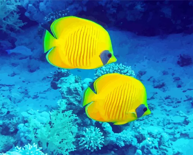 adorable tropical fish Diamond Paints Adorable Tropical Fish Diamond Painting