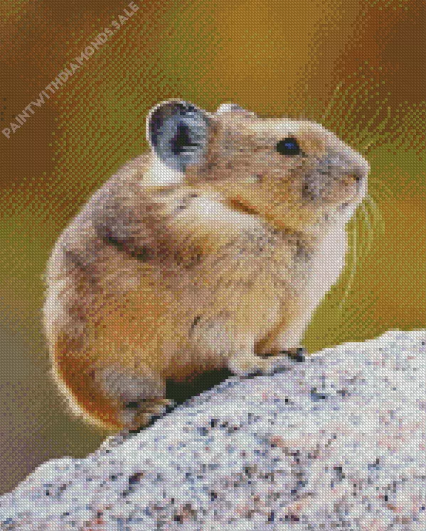 american pika Diamond By Numbers American Pika Diamond Painting