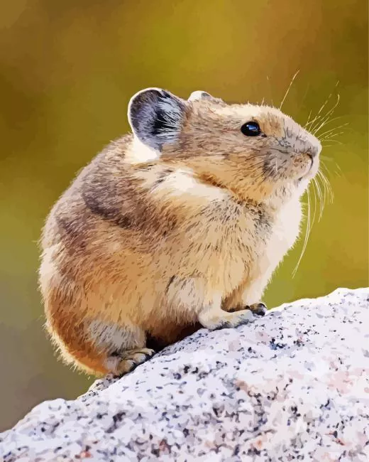 american pika Diamond Paintings American Pika Diamond Painting