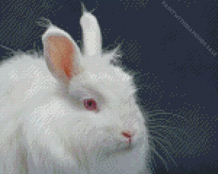 angora rabbit 5 Diamond By Numbers Angora Rabbit Diamond Painting