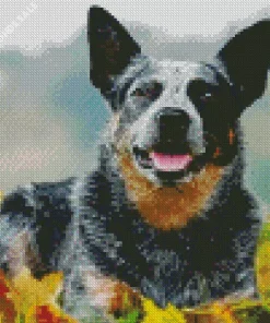 Cute Australian Cattle With Leaves Diamond Painting