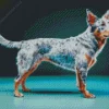 Australian Cattle Dog Diamond Painting