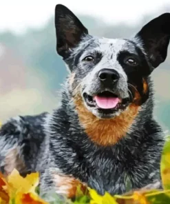 Cute Australian Cattle With Leaves Diamond Painting
