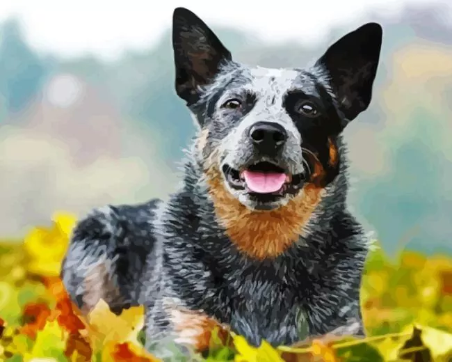 australian cattle dog Diamond Paintings Cute Australian Cattle With Leaves Diamond Painting
