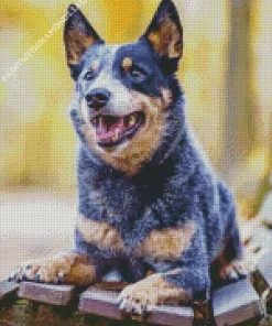 Australian Cattle Dog Art Diamond Painting