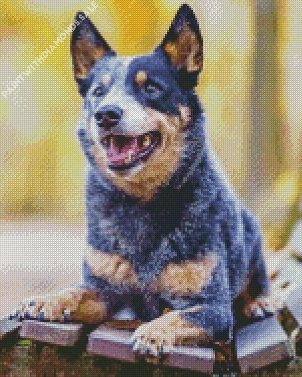 australian cattle dog art Diamond Dotz Australian Cattle Dog Art Diamond Painting