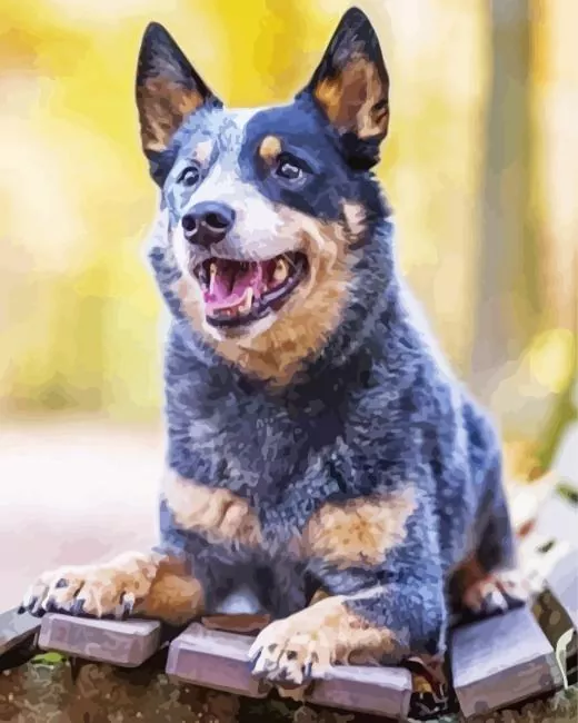 australian cattle dog art Diamond Paintings Australian Cattle Dog Art Diamond Painting