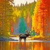Autumn Forest And Moose Diamond Painting