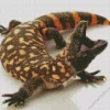 Baby Gila Monster Diamond Painting