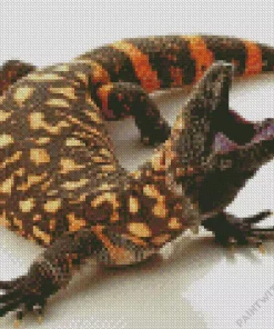 Baby Gila Monster Diamond Painting