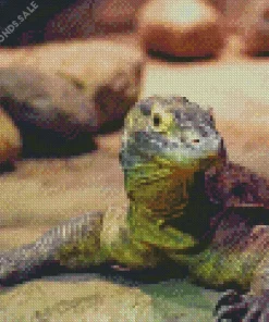 Baby Komodo Dragon Diamond Painting