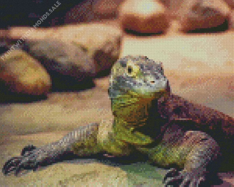 baby Komodo dragon Diamond By Numbers Baby Komodo Dragon Diamond Painting