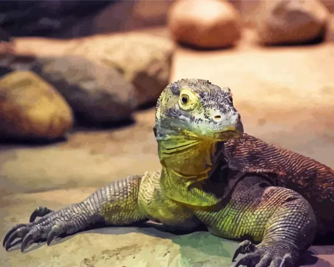 baby Komodo dragon Diamond Paintings Baby Komodo Dragon Diamond Painting