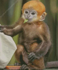 Baby Macaque Monkey Diamond Painting