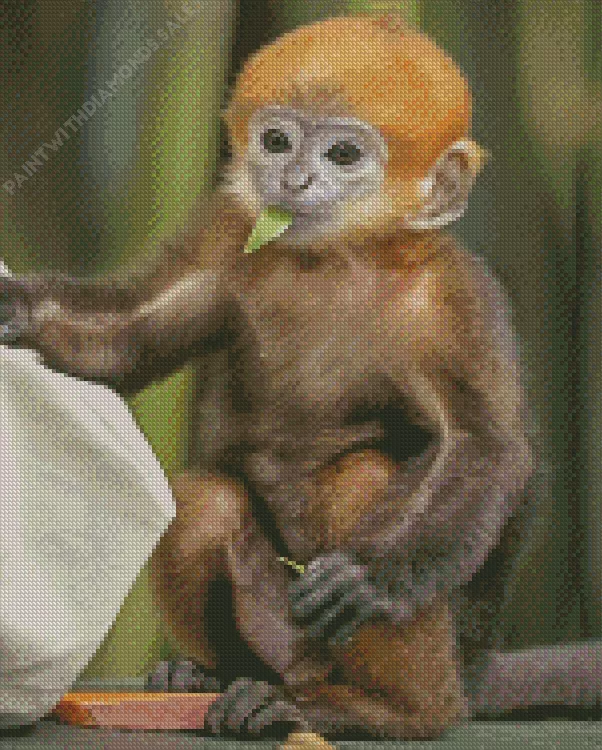 baby Macaque monkey Diamond Dotz Baby Macaque Monkey Diamond Painting