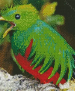 Baby Resplendent Quetzal Bird Diamond Painting