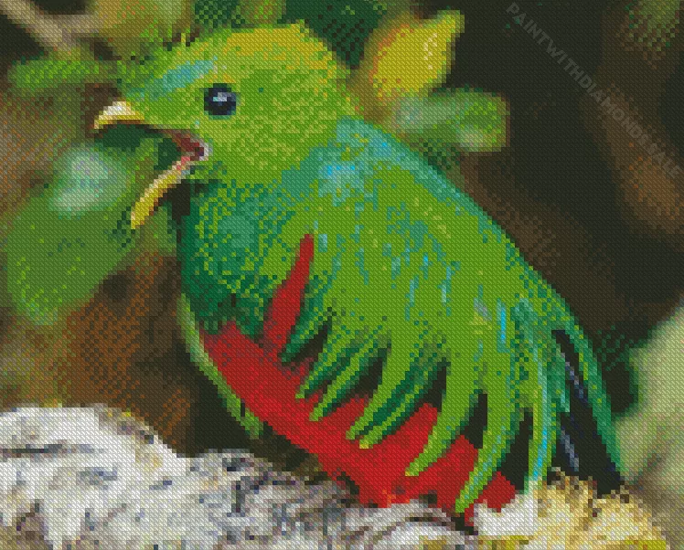 baby Resplendent Quetzal Bird Diamond Dotz Baby Resplendent Quetzal Bird Diamond Painting