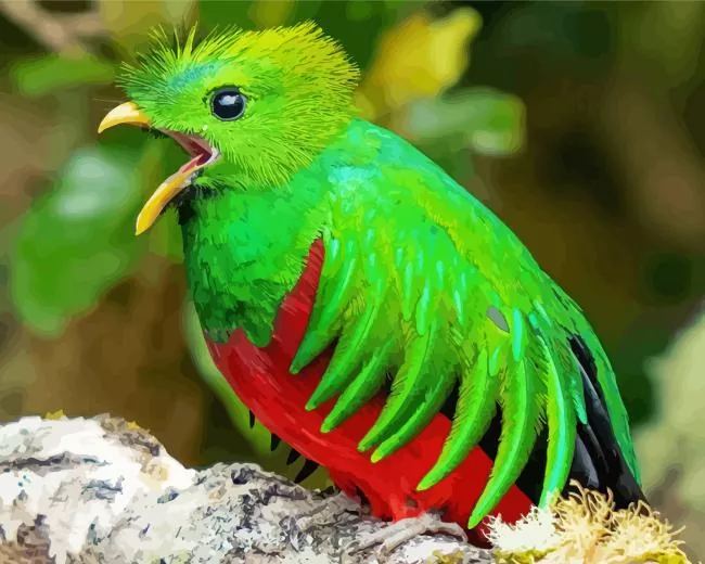 baby Resplendent Quetzal Bird Diamond Paintings Baby Resplendent Quetzal Bird Diamond Painting