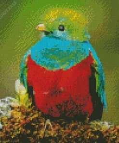 Baby Resplendent Quetzal Diamond Painting