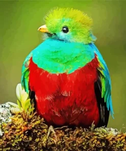 Baby Resplendent Quetzal Diamond Painting