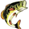 Bass Fish Illustration Diamond Painting