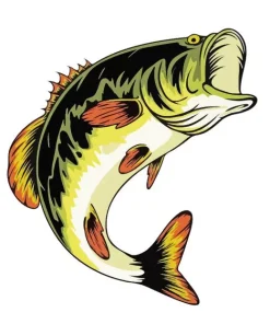 Bass Fish Illustration Diamond Painting