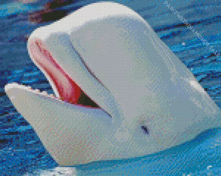 beluga Whale close up Diamond Paintings Beluga Whale Close Up Diamond Painting