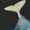 Beluga Whale Tail Diamond Painting