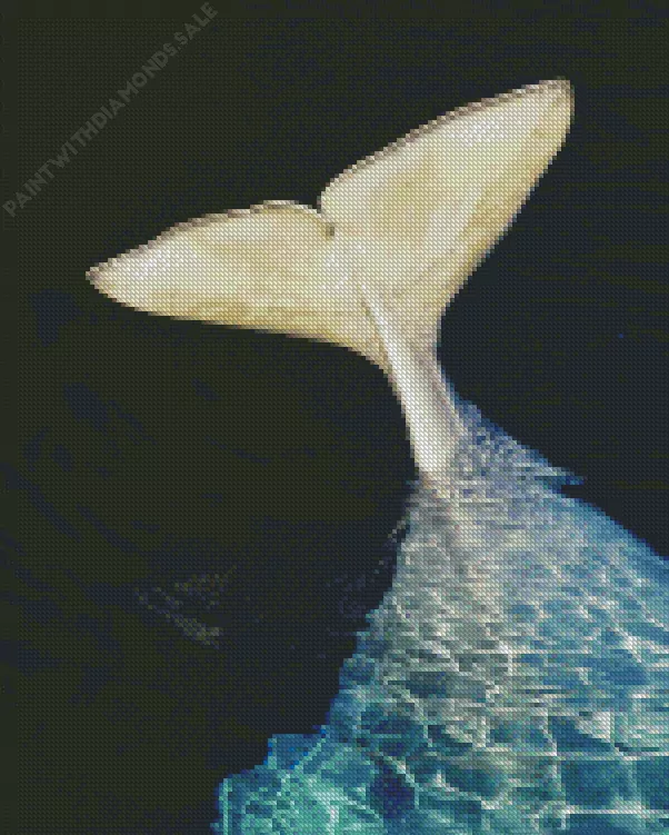 beluga whale tail Diamond Paintings Beluga Whale Tail Diamond Painting