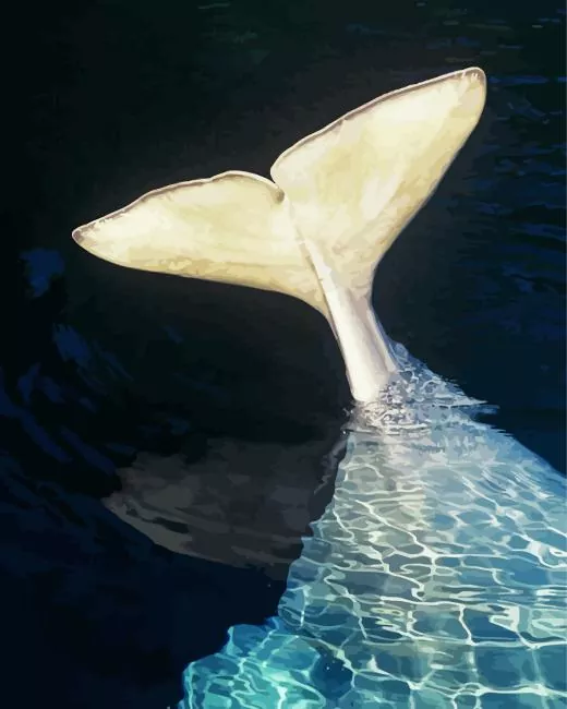 beluga whale tail Diamond With Numbers Beluga Whale Tail Diamond Painting