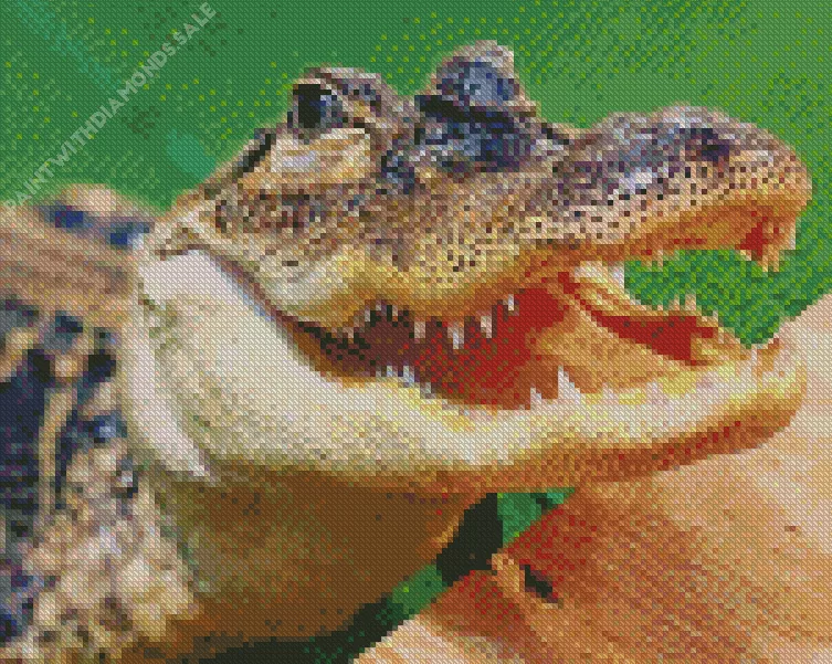 big Alligator Diamond By Numbers Big Alligator Diamond Painting