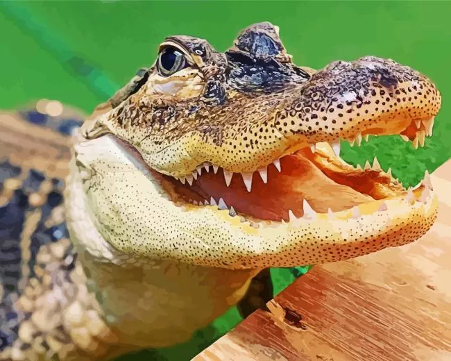big Alligator Diamond Paintings Big Alligator Diamond Painting