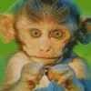 Big Eyed Macaque Diamond Painting
