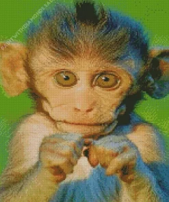 Big Eyed Macaque Diamond Painting