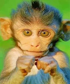 Big Eyed Macaque Diamond Painting