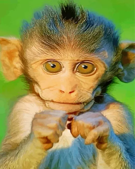 big eyed Macaque Diamond Paintings Big Eyed Macaque Diamond Painting