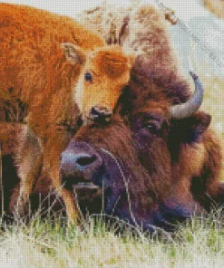 Bison Calves Diamond Painting
