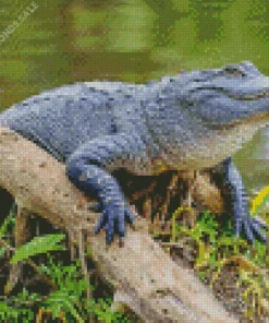 Black Alligator Diamond Painting