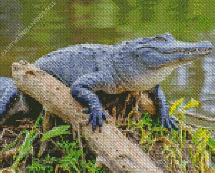 black Alligator Diamond By Numbers Black Alligator Diamond Painting