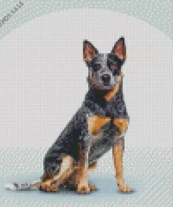 Black Australian Cattle Dog Art Diamond Painting