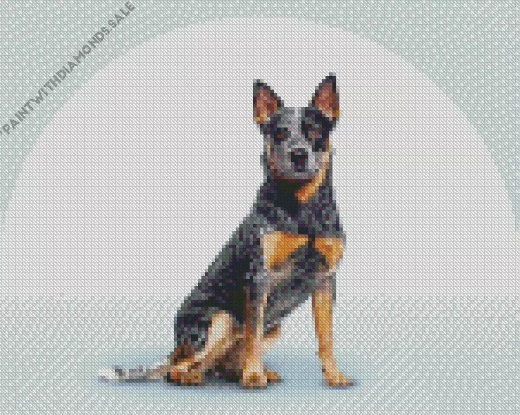 black Australian Cattle Dog Art Diamond Dotz Black Australian Cattle Dog Art Diamond Painting